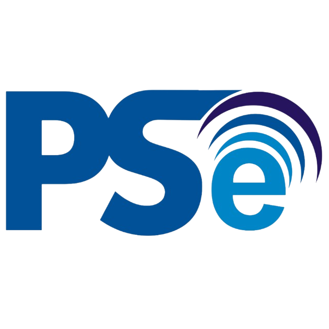 PSE Pemerintah